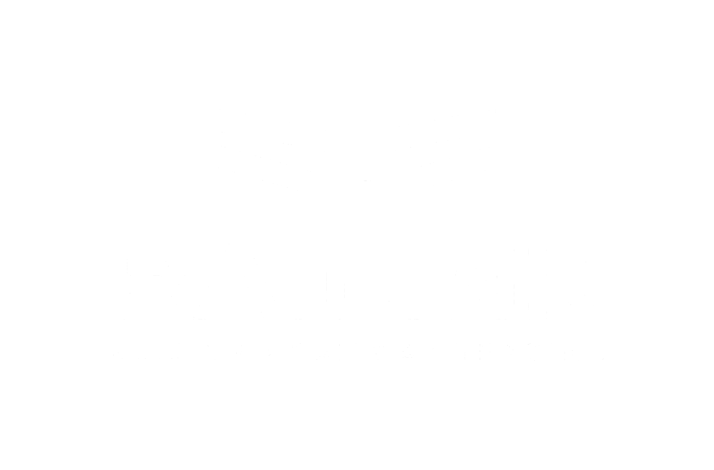RAILINK
